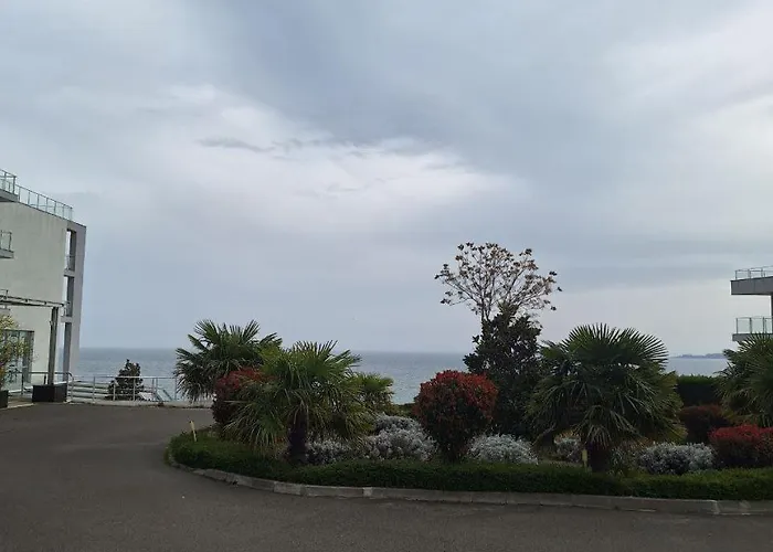 сан вей - студио 25 - 2 スヴェティ・ヴラス